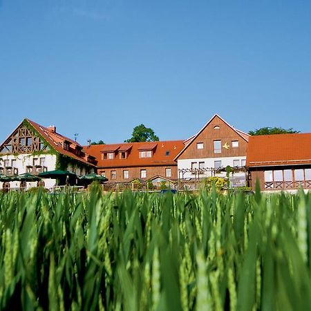 Hotel Neue Hoehe Klingenberg Exteriér fotografie