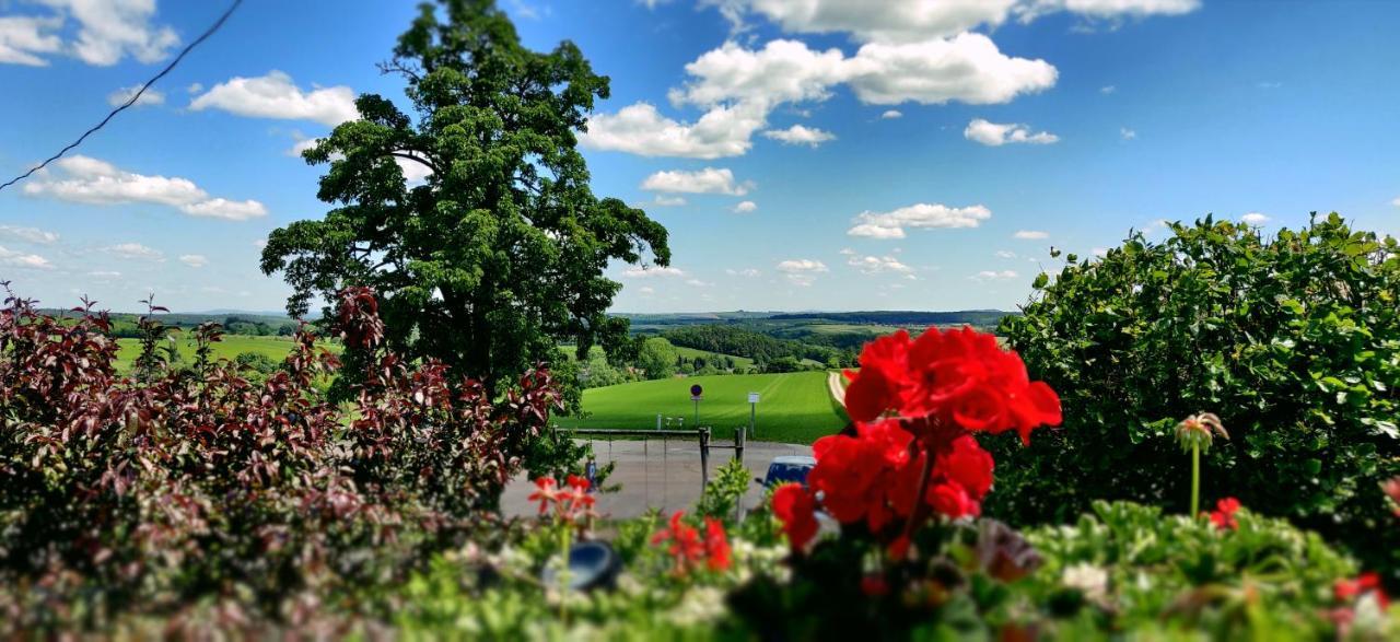 Hotel Neue Hoehe Klingenberg Exteriér fotografie