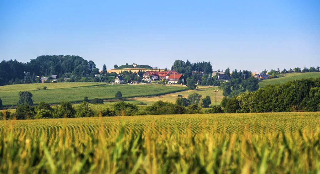 Hotel Neue Hoehe Klingenberg Exteriér fotografie
