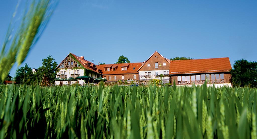 Hotel Neue Hoehe Klingenberg Exteriér fotografie